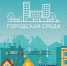 Сделай свой город комфортнее! - Питкярантский район