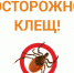 ОСТОРОЖНО, КЛЕЩ! - Питкярантский район