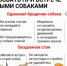 О безопасности общения детей с бездомными и домашними животными. - Питкярантский район