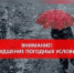 В течение суток 3 апреля по южным и центральным районам Республике Карелия ожидается сильный снег, метель. На юге ледяной дождь, гололед - Питкярантский район