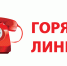 9 июля еженедельная горячая линия в Отделении Социального фонда России по Республике Карелия будет посвящена вопросам материнского капитала. - Питкярантский район