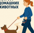 Памятка Содержание и выгул домашних животных - Питкярантский район