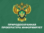 Карельская межрайонная природоохранная прокуратура разъясняет ответственность за складирование отходов на лесных участках